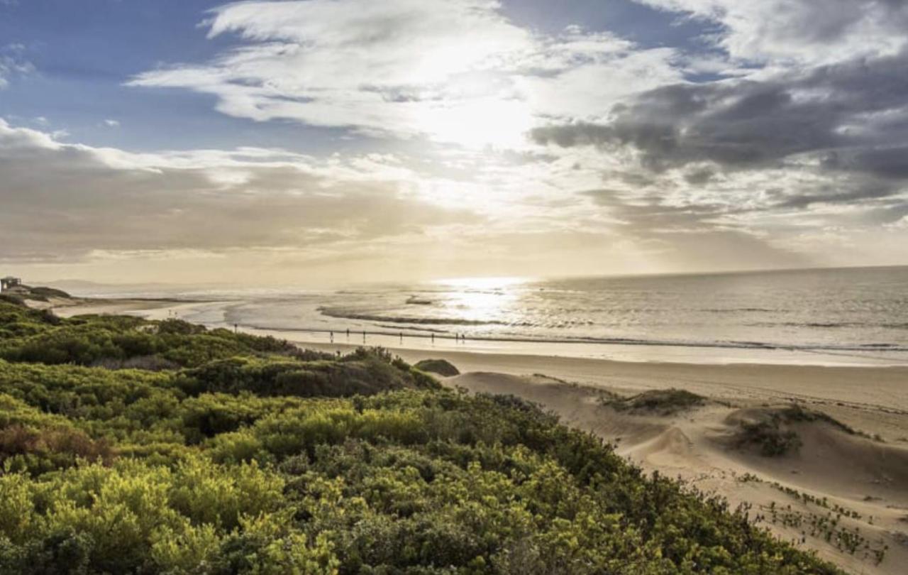 House On The Hill Paradise Beach Jeffreys Bay Exteriör bild